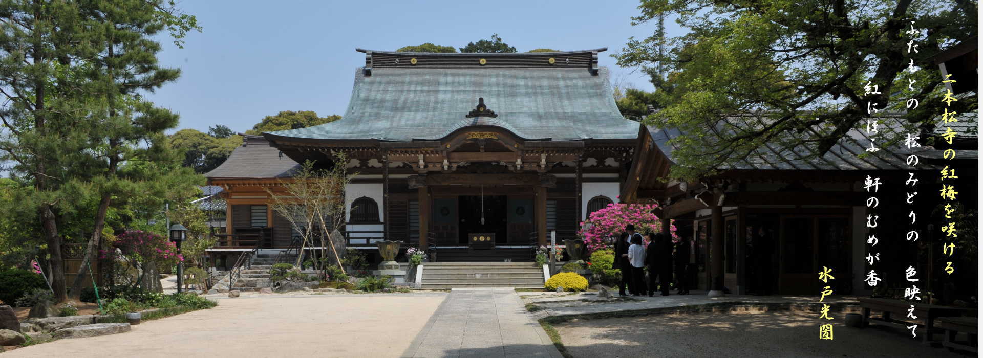 茨城県　紫陽花